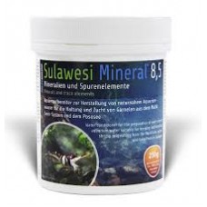 Salty Shrimp Sulawesi Mineral 8.5